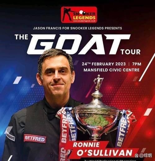 爱尔兰队逆转获胜,成功晋级下一轮 爱尔兰队逆转获胜,成功晋级下一轮