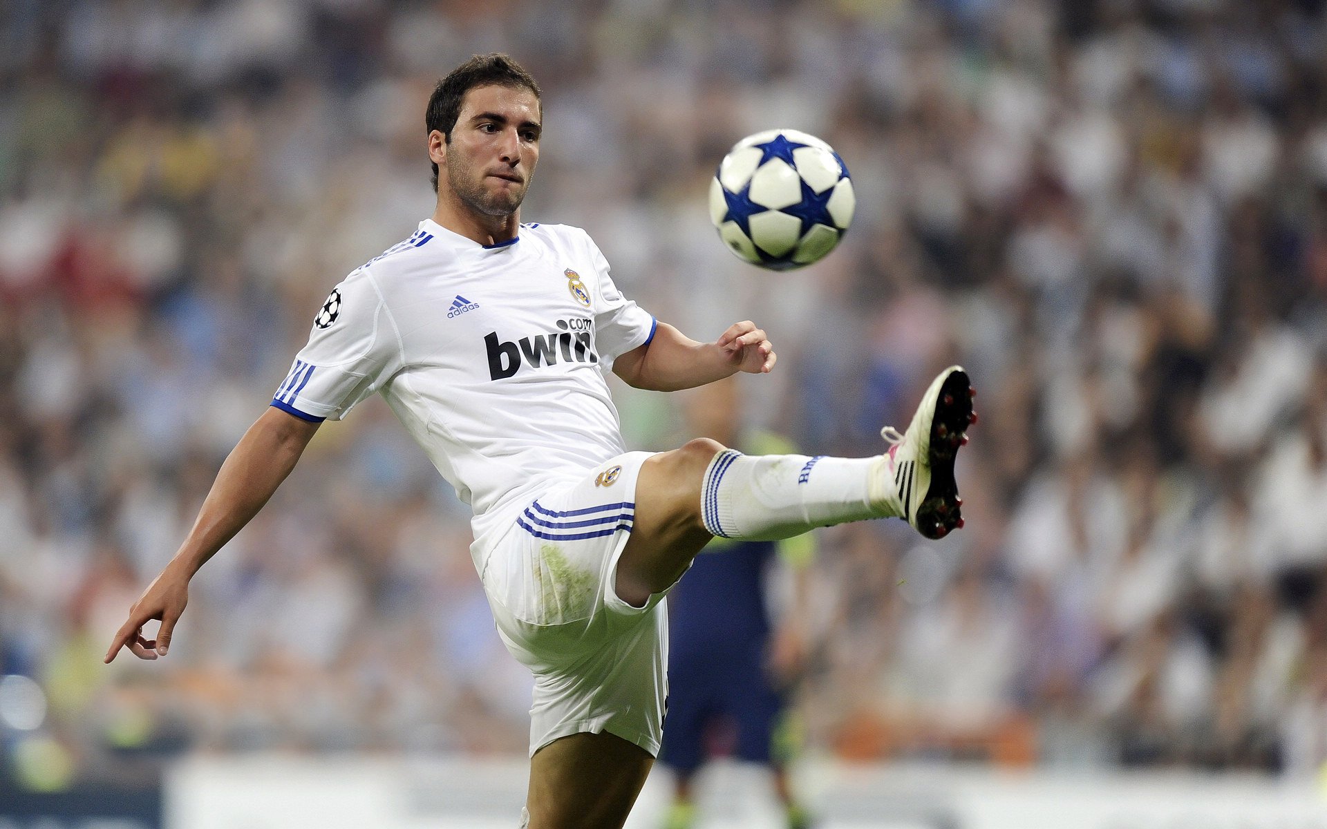 逆袭之夜,哈斯车队力克雷诺,佩雷兹惊艳四座改写F1格局